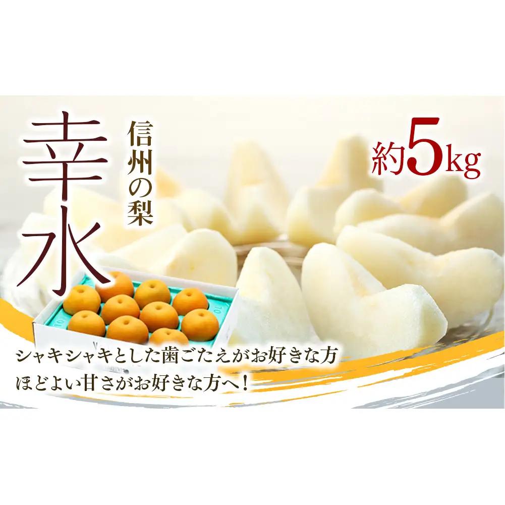 幸水 5kg 梨 2026年秋 信州 長野 フルーツ 幸水