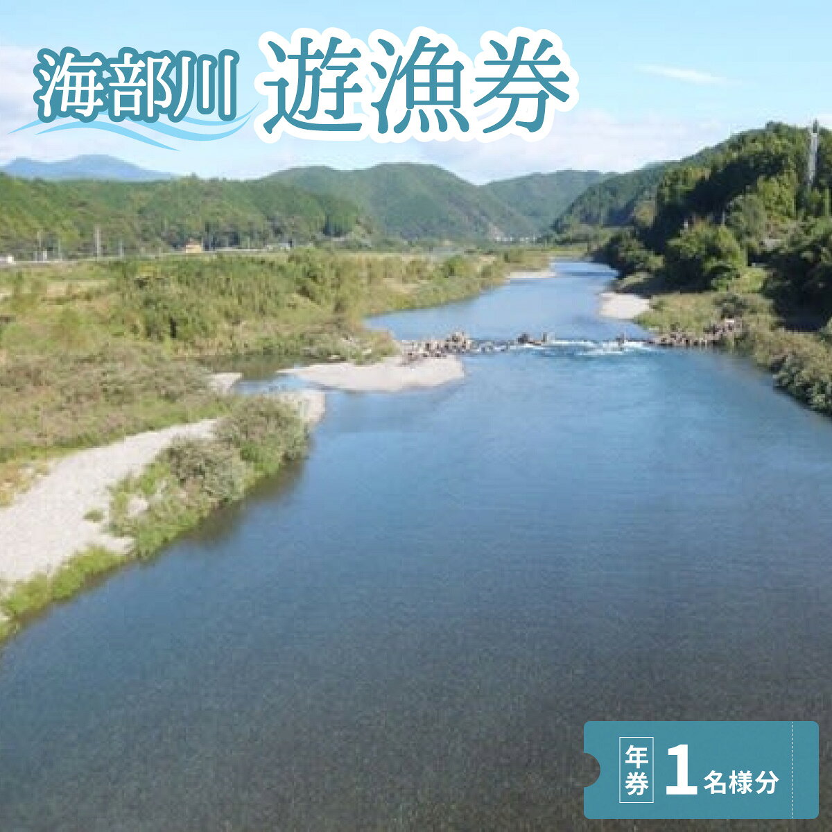 【ふるさと納税】 海部川漁協遊漁券 年券 1名分 アユ アマゴ 釣り