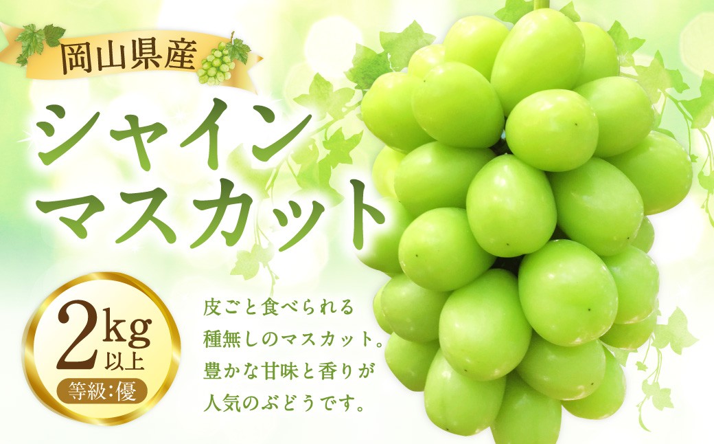 
                  シャインマスカット 優 2kg以上 【2026年10月上旬から10月下旬発送予定】 ／ マスカット 葡萄 ぶどう 果物 果実 フルーツ 皮ごと 種なし 岡山県 美咲町
                