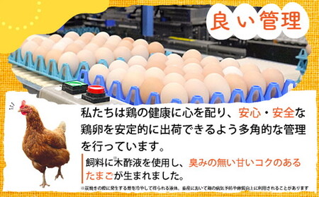 【TVで紹介】卵 霧の卵 30個【北海道・沖縄・離島配送不可】