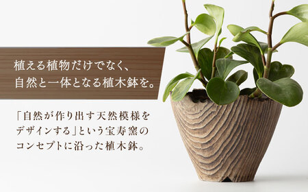 【宝寿窯】植木鉢 大cera wood[UCN025-2] 植木鉢