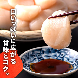 特大ジャンボほたて貝柱！たっぷり1kg 【枝幸ほたて】海洋食品【 冷凍 貝柱 刺身 大 魚介 海 年越し 帆立 魚介類 北海道 オホーツク 枝幸 】