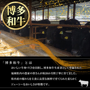 博多和牛肩ロース焼肉用・博多和牛生ハンバーグ詰め合わせ(2種・総量1.1kg) 牛肉 ブランド牛 和牛 焼肉 焼き肉 バーベキュー BBQ おかず 惣菜 お弁当 個装 小分け 個包装 冷凍【JA全農ミ