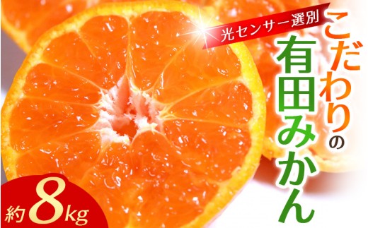 【2026年12月発送予約分】＼光センサー選別／農家直送 こだわりの完熟有田みかん 約8kg＋150g(傷み補償分) 【ご家庭用】【12月発送】【nuk100-12C】