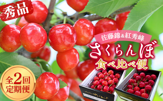 【令和6年産先行予約】 《定期便2回》 さくらんぼ食べ比べ
