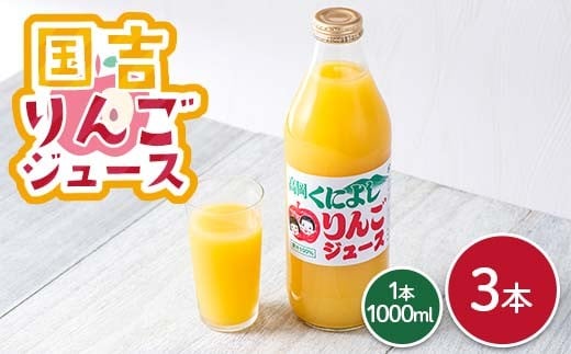 
            国吉りんごジュース 1000ml×3本セット リンゴジュース アップルジュース 100％ ストレート FAD-1746
          