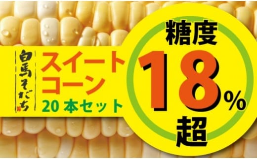 
            白馬そだち 糖度18%超 スイートコーン20本【2025年8月発送先行予約】　甘い　産地直送　新鮮　とうもろこし　お取り寄せ　長野県白馬村
          