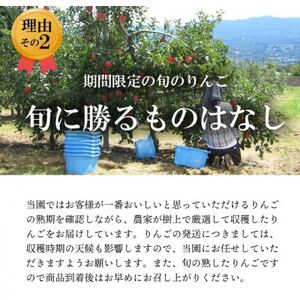 【南信州あじさい農園】葉とらずりんご(サンふじ)約15kg家庭用【1594218】