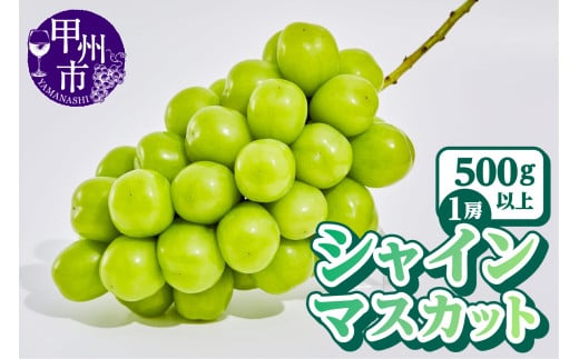 【農林水産大臣賞受賞!!】山梨のシャインマスカット1房500g以上【2026年発送】（AGB）A07-875 【シャインマスカット 葡萄 ぶどう ブドウ 令和8年発送 期間限定 山梨県産 甲州市 フルーツ 果物】