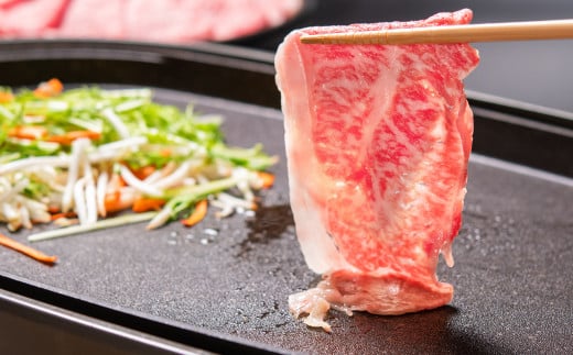 宮崎牛ローススライス600g （300g×2 小分け）牛肉  焼きしゃぶすき焼き しゃぶしゃぶ 鉄板焼肉 高級部位 ブランド牛 ミヤチク 内閣総理大臣賞4連覇＜2.1-13＞【10月1日より寄附金額見