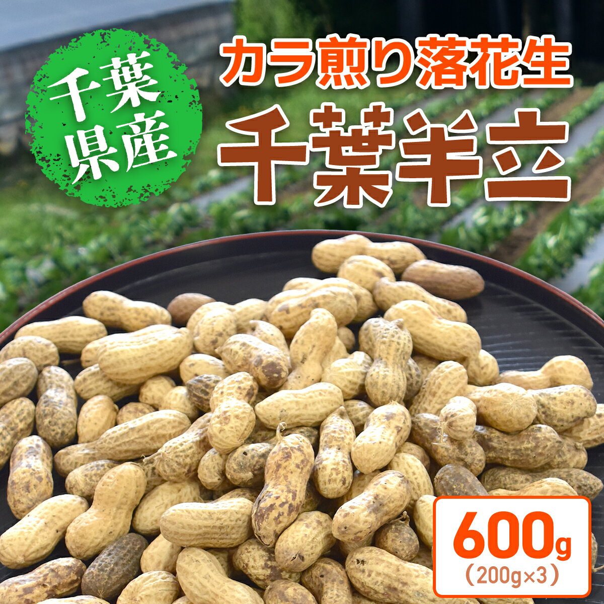 【ふるさと納税】【先行予約】【12月上旬から発送】千葉県産 カラ煎り落花生 千葉半立 600g（200g×3） ／ ふるさと納税 らっかせい ラッカセイ 落花生 千葉半立 落花生の王様 ナッツ ピーナッツ 無農薬 有機質肥料100％ 千葉県 山武市 SMF004