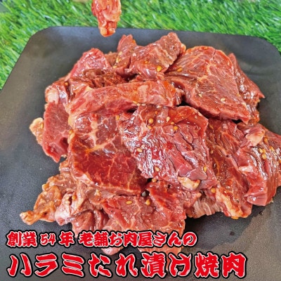 《約1.2kg》当店注文率No.1のハラミたれ漬け焼肉(甘口しょうゆ味) ホットプレート派に人気【配送不可地域:離島】【1677668】