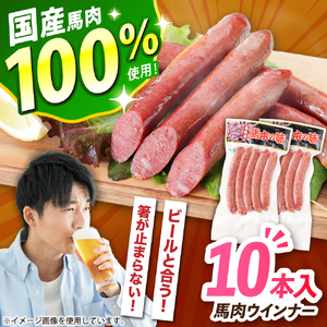 『純国産』熊本の味「桜」 国産 馬肉 100% 馬肉 ウインナー 10本 ウインナー  ウインナー  ウインナー  ウインナー  ウインナー [AYCN123]