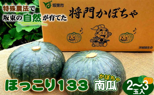 No.842 特殊農法で坂東の自然が育てた「ほっこり133南瓜」2～3玉入 ／ かぼちゃ カボチャ ホクホク 甘味 品質 糖度 野菜 茨城県 特産品