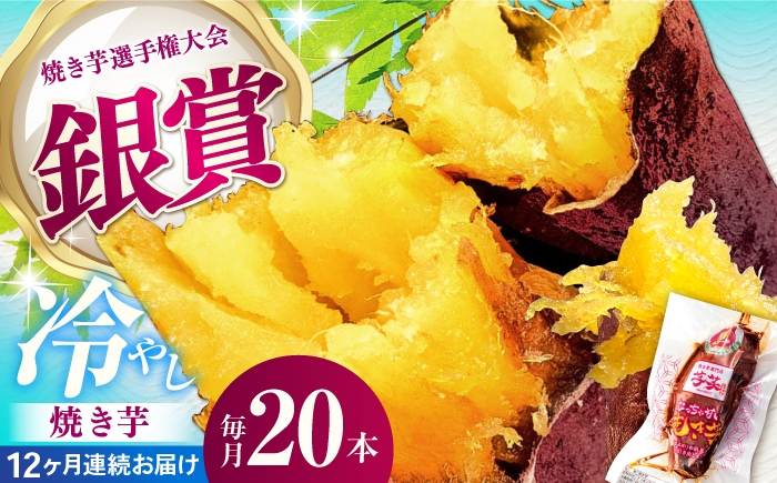 
                  【全12回定期便】紅はるか 冷やし焼き芋 20本 / 焼き芋 やきいも 焼きいも 焼いも 焼芋 さつまいも 紅はるか ねっとり しっとり 甘い おやつ 芋 スイーツ / 亀山市 / 芋笑 [AMBU022]
                