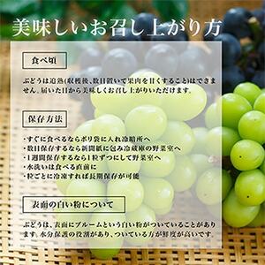 【2025年発送】岡山県産　ニューピオーネ4房(1房480g以上・合計約2kg)【配送不可地域：離島・北海道・沖縄県】【1281357】