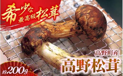 【2025年発送分】香り・歯応え・味ともに最高級！希少な国産松茸「高野松茸」 約200g【化粧箱入】【2025年10月中旬～11月上旬発送予定】