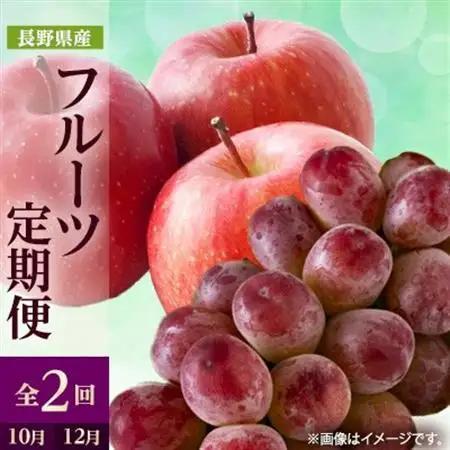 【発送月固定定期便】2025年発送 長野の果物 クイーンルージュ+サンふじ全2回【配送不可地域：離島】【4063529】