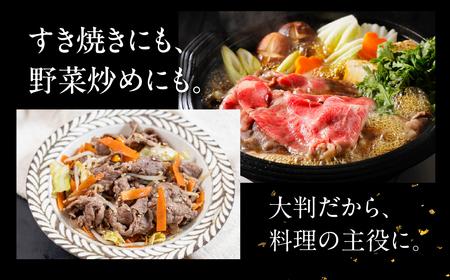飛騨牛 切り落とし 200g×5袋 　計1kg【22-47】