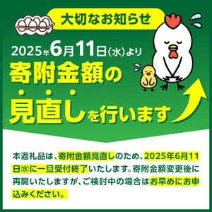 放し飼いたまご『かぐやひめ』120個【福岡上毛町産】　C00701