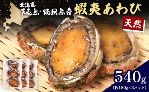 
            【北海道】天売島・焼尻島産 天然蝦夷あわび 540g (約180g×3パック) | 天然 あわび 殻付き 海鮮 おつまみ 魚介類 酒の肴 高級 食材 冷凍 刺身 バター焼き 炊き込みご飯 ソテー グルメ お祝い 贈答品 食卓 特別 旨味 凝縮 北海道 天売島 焼尻島 お取り寄せ ワンストップ マイページ マリナシーフーズ 羽幌町【02147】
          