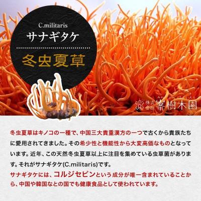 ふるさと納税 合志市 【峯王】冬虫夏草(24.6g(205mg×120粒)) |  | 01