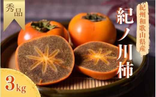 【先行予約】【秀品】2L~4Lサイズおまかせ 紀美野町産 紀ノ川柿 8個～10個入り 約3kg【2025年10月中旬～11月上旬に順次発送致します。】/ 和歌山県 紀美野町 種なし カキ 柿 甘い 美