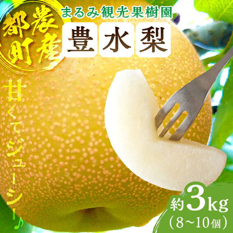 【ふるさと納税】 先行予約 期間限定 まるみ観光果樹園の 豊水梨 約3kg 安心 安全 天然ミネラル栽培 デザート フルーツ 季節の果物 旬 おいしい 甘い ジューシー 食品 おやつ 国産 おすすめ 人気 お取り寄せ お土産 おすそ分け 贈り物 宮崎県 都農町 送料無料