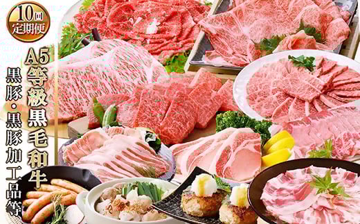 定期便(1年で10回配送)お楽しみ便(A5等級黒毛和牛・鹿籠豚(黒豚)・かご豚加工品等HH-6004【1166752】 _ ふるさと納税 定期便 肉 牛肉 サーロイン ステーキ 焼肉 ハンバーグ 切り落とし 豚肉 ロース バラ もつ鍋