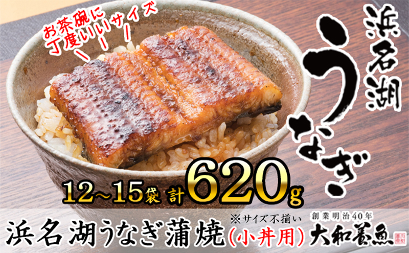 浜名湖うなぎ蒲焼（小丼用）計620g 【訳あり】サイズ不揃い12～15袋