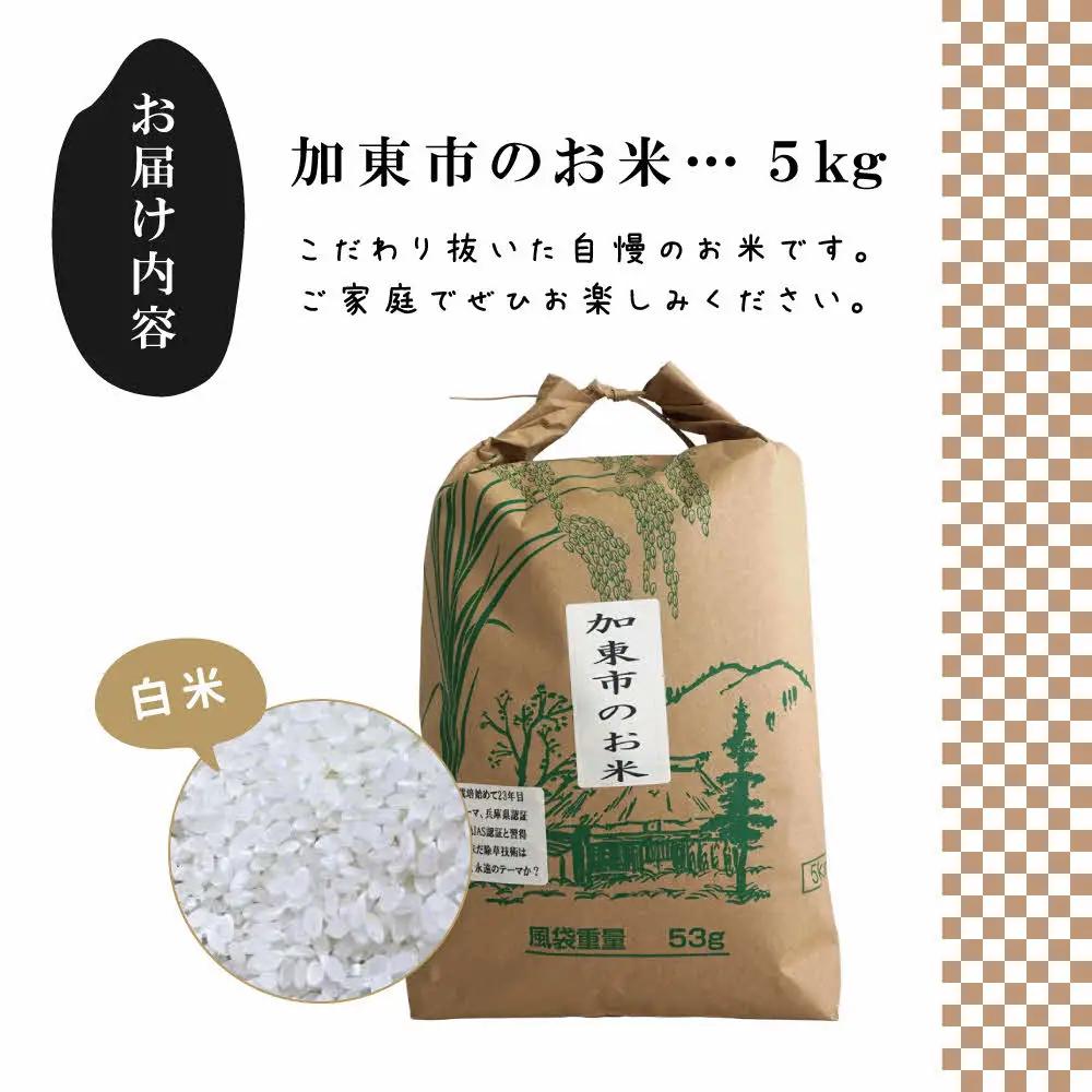 栽培期間中化学農薬・化学肥料不使用のお米 5kg [米 こめ コメ 精米  ライス ご飯 おにぎり お弁当 和食 主食 国産 炭水化物 直送 産地直送 兵庫県産 日本産 ]