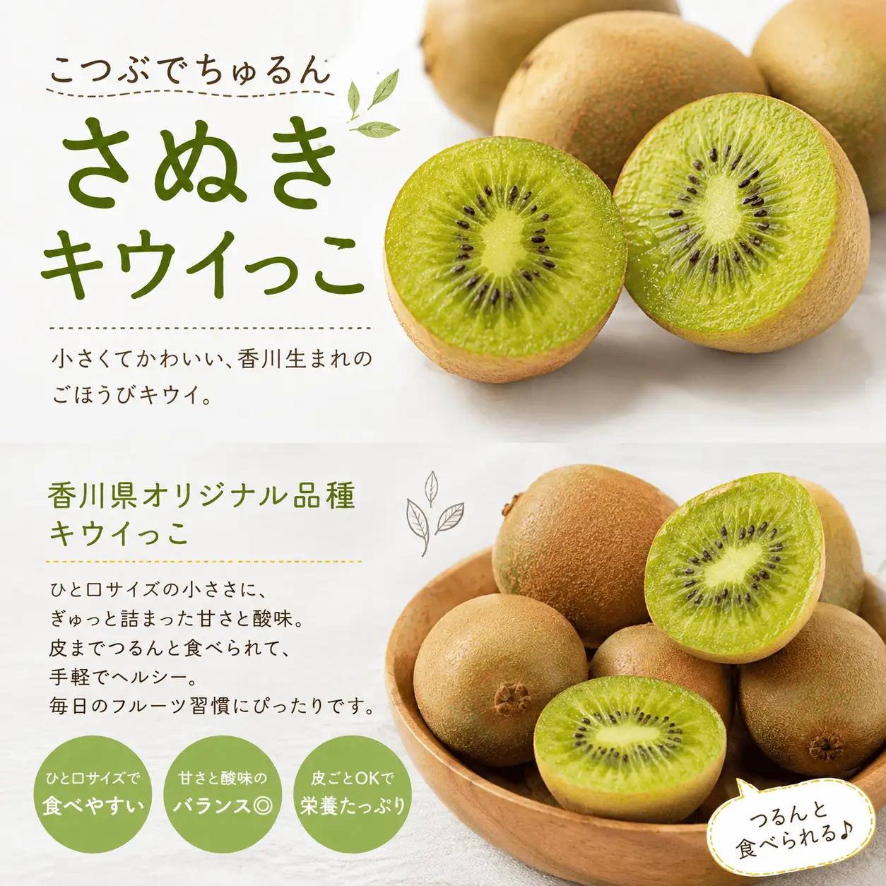 【11月順次発送】さぬきキウイっこ 800g キウイ フルーツ 香川県 丸亀市