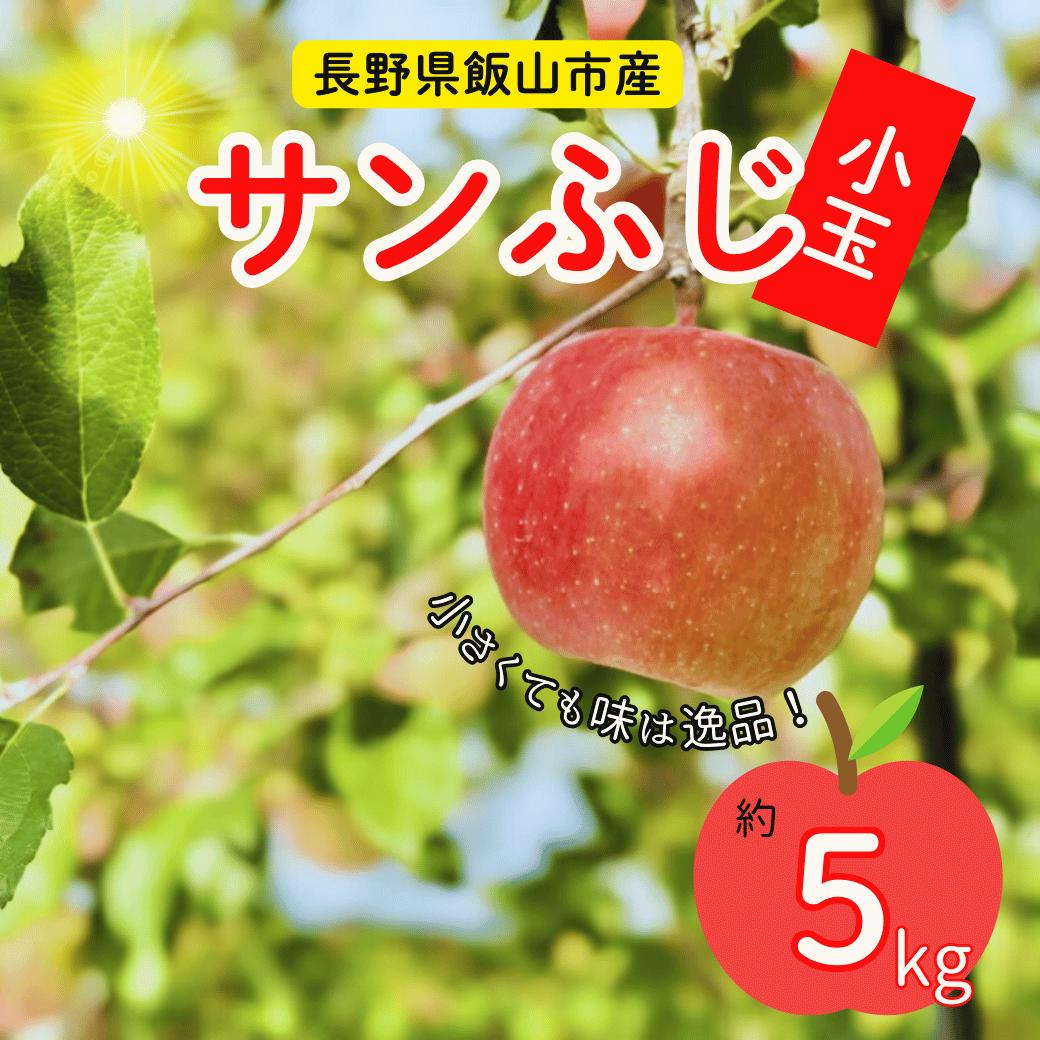 【先行予約】サンふじ 小玉【約5kg（20-25個】(T-1.3)