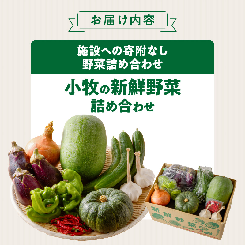 ネオコスモ農園で採れた小牧の野菜詰め合わせ［124N01］_イメージ4