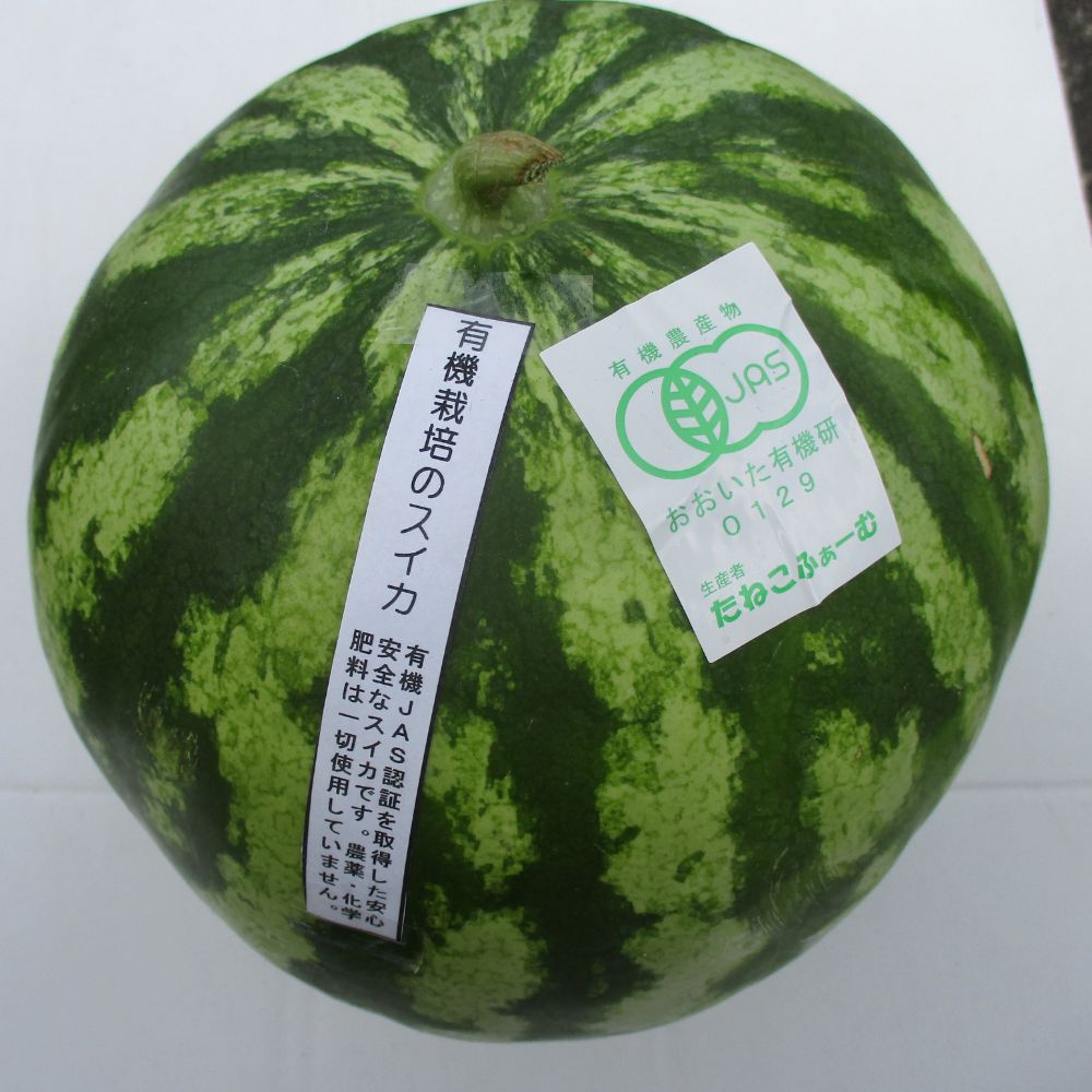 【ふるさと納税】先行予約 有機栽培 スイカ 中玉 1個 有機JAS すいか フルーツ 果物 送料無料