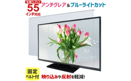 大阪府和泉市　有機ELテレビ55インチ用　テレビ画面保護パネル　アンチグレアタイプ　テレビガード【1669353】