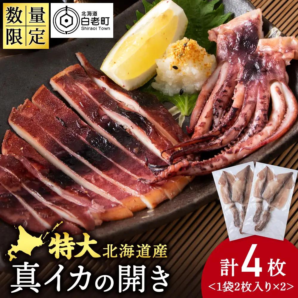 北海道産 真イカ開き(加熱用) 2枚入り×2パック 〈斉藤水産〉 AM173