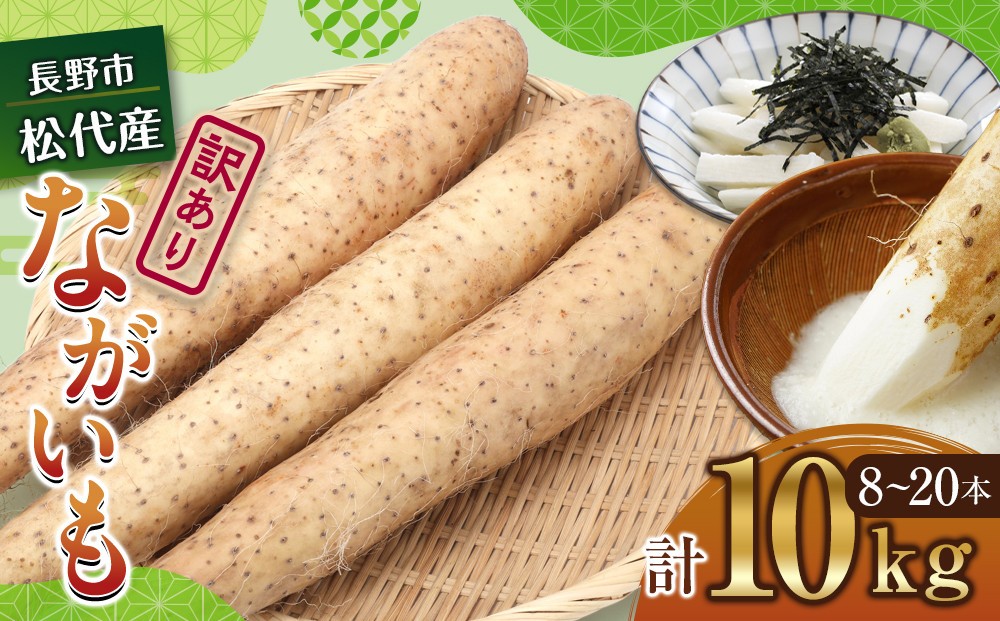 
                  高野農園　長野市松代産 TAKANO農園　長いも 約10kg（訳あり）【8～20本】長芋　ながいも | ながいも 野菜 いも 芋 大容量 人気 おすすめ 根菜 健康 長野県 長野市 信州 信濃 ふるさと納税
                