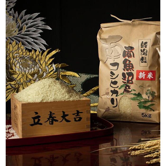 【ふるさと納税】【令和8年産 新米予約 全12回定期便】南魚沼塩沢産コシヒカリ 玄米5kg×12回 新潟県の特A地区南魚沼市の美味しいお米【定期便 銘柄米 ブランド米 玄米 こしひかり コシヒカリ】【2026年11月上旬から1ヶ月以内に順次発送予定】