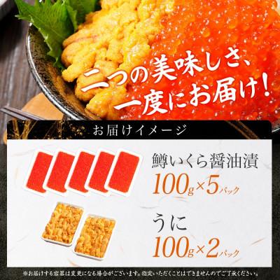 ふるさと納税 弟子屈町 2種海鮮丼 鱒いくら醤油漬け100g×5個 ウニ100g×2個 北海道弟子屈町 3009 |  | 03