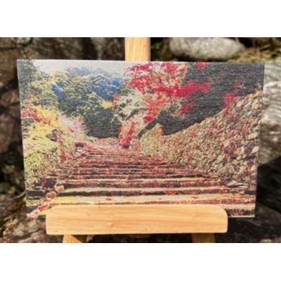 ふるさと納税 与謝野町 御城印帳(安土城)