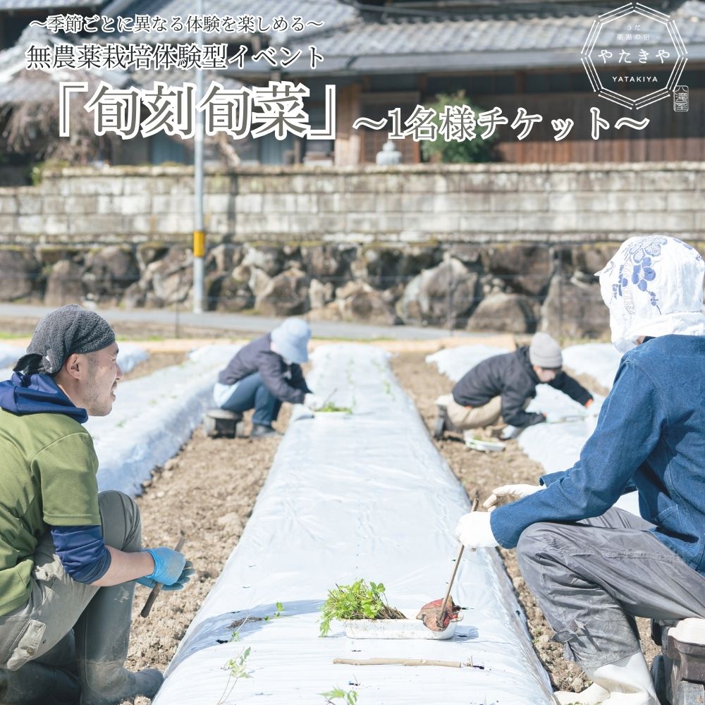 【ふるさと納税】『旬刻旬菜』参加チケット（1名様）家庭菜園のお悩みをプロ農家に相談できるランチ付き農業体験 ／ なつかしいみらいサービス 送料無料 チケット 無農薬栽培 農業体験 家庭菜園 奈良県 宇陀市