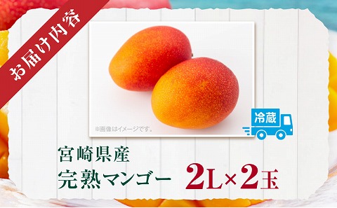 《2025年発送先行予約》宮崎県産完熟マンゴー 2L×2玉