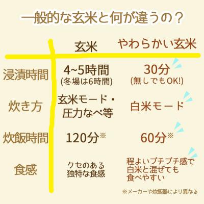 ふるさと納税 碧南市 やわらかい玄米 900g×50袋　※定期便12回　　H074-636 |  | 03