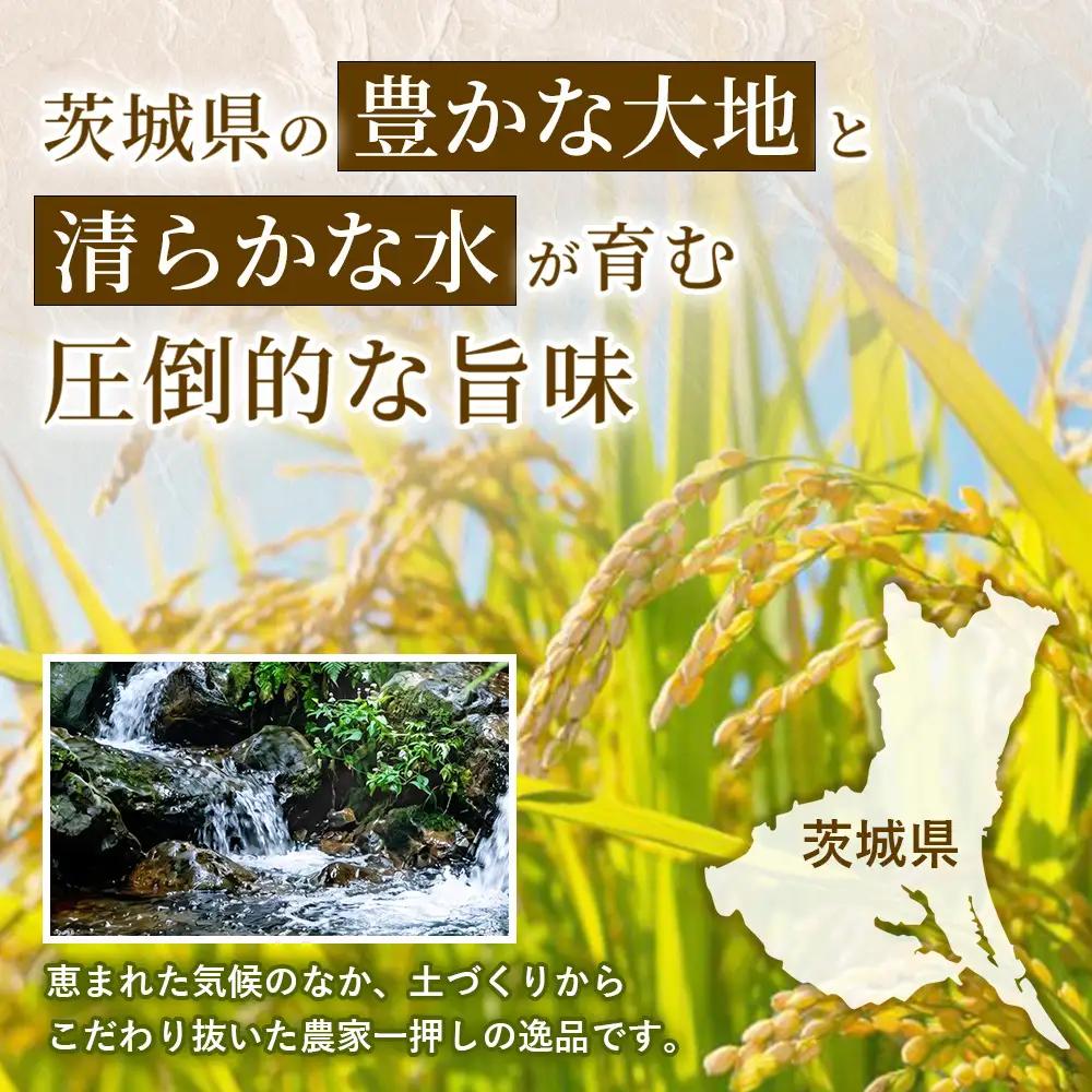 【令和8年産】茨城あきたこまち【精米】20㎏（5㎏×4袋） | お米 米 あきたこまち 茨城県産 白米 ブランド米 小分け