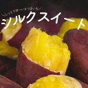 【ふるさと納税】甘～いサツマイモ「シルクスイート」 先行予約 数量限定 さつまいも 10kg 5kg 産地 千葉県 酒々井町