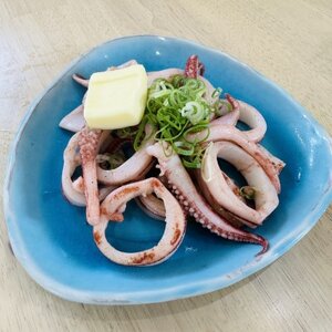 愛知県産　剣先イカ(アカイカ)2袋【配送不可地域：離島】【1481160】