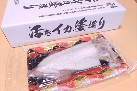 活イカ姿造り小サイズ１杯(140g前後)！鮮度抜群 捌きたて瞬間冷凍 いか活造り 刺身 簡単 呼子 ギフト