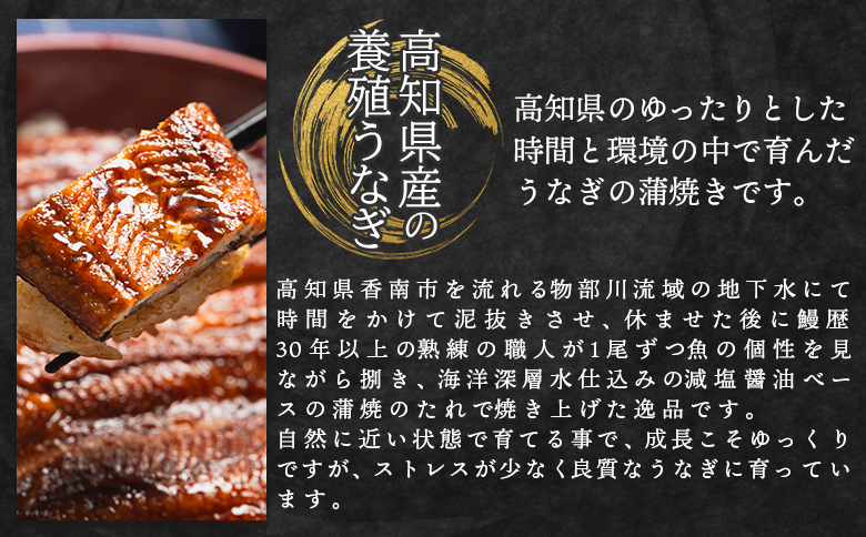 【６回定期便】高知県産養殖うなぎ蒲焼き 100～120g 3尾 うなぎ 魚介 国産 海鮮 魚 かばやき 鰻 ウナギ 惣菜 おかず お手軽 加工品 加工食品 冷凍 Wfb-0043