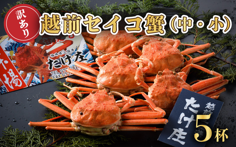 
【先行予約】 訳あり≪茹で≫越前セイコ蟹(中・小) 5杯【2024年11月～12月発送予定】 [F-1601]
